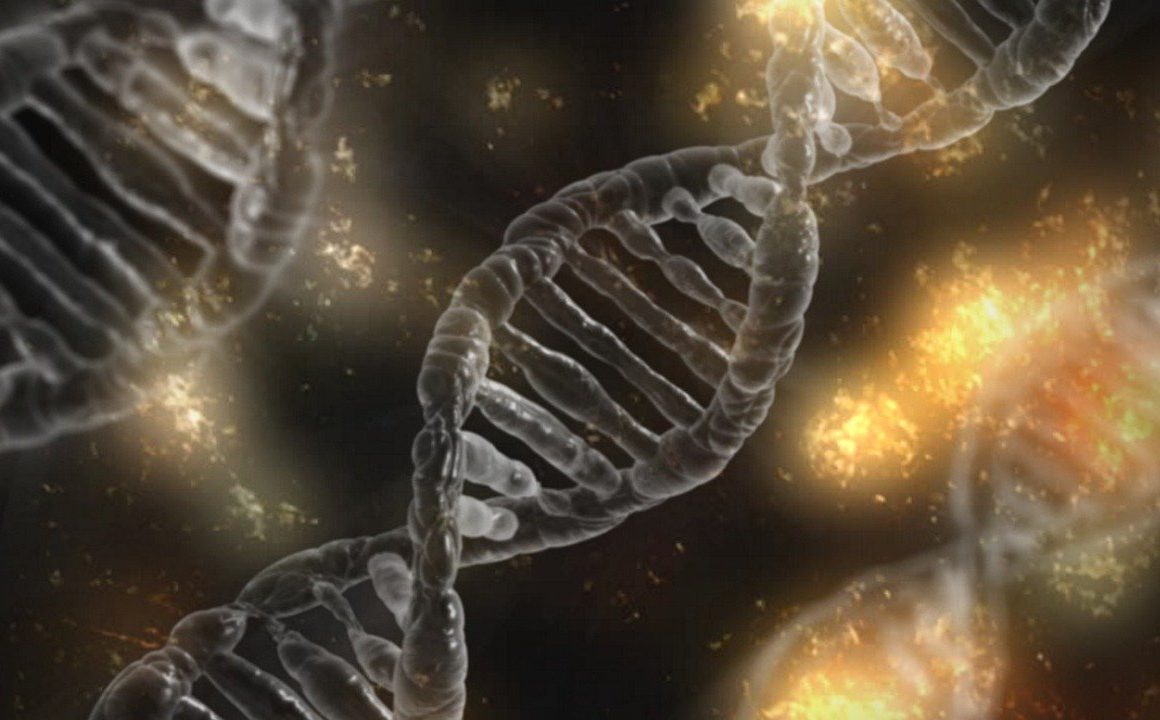 Zapisy do&nbsp;Koła Naukowego Bioinformatyki