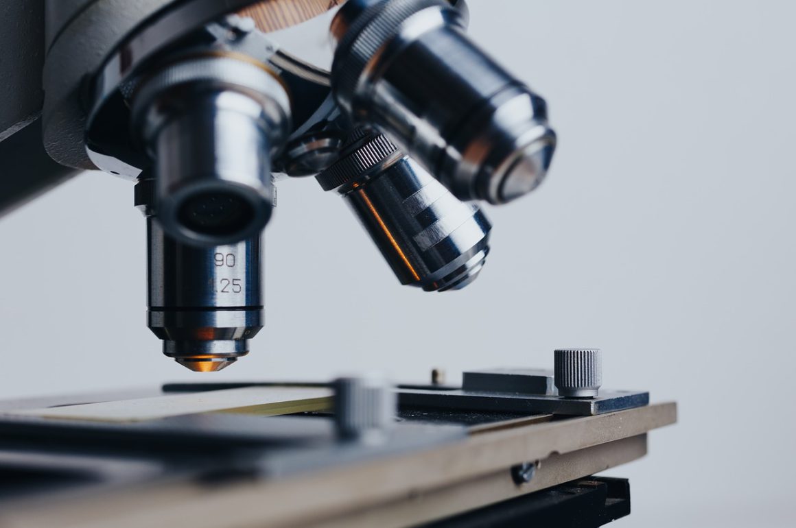 Biologia dla informatyka. Studia bioinformatyczne na czas pandemii Biologia dla informatyka. Studia bioinformatyczne na czas pandemii