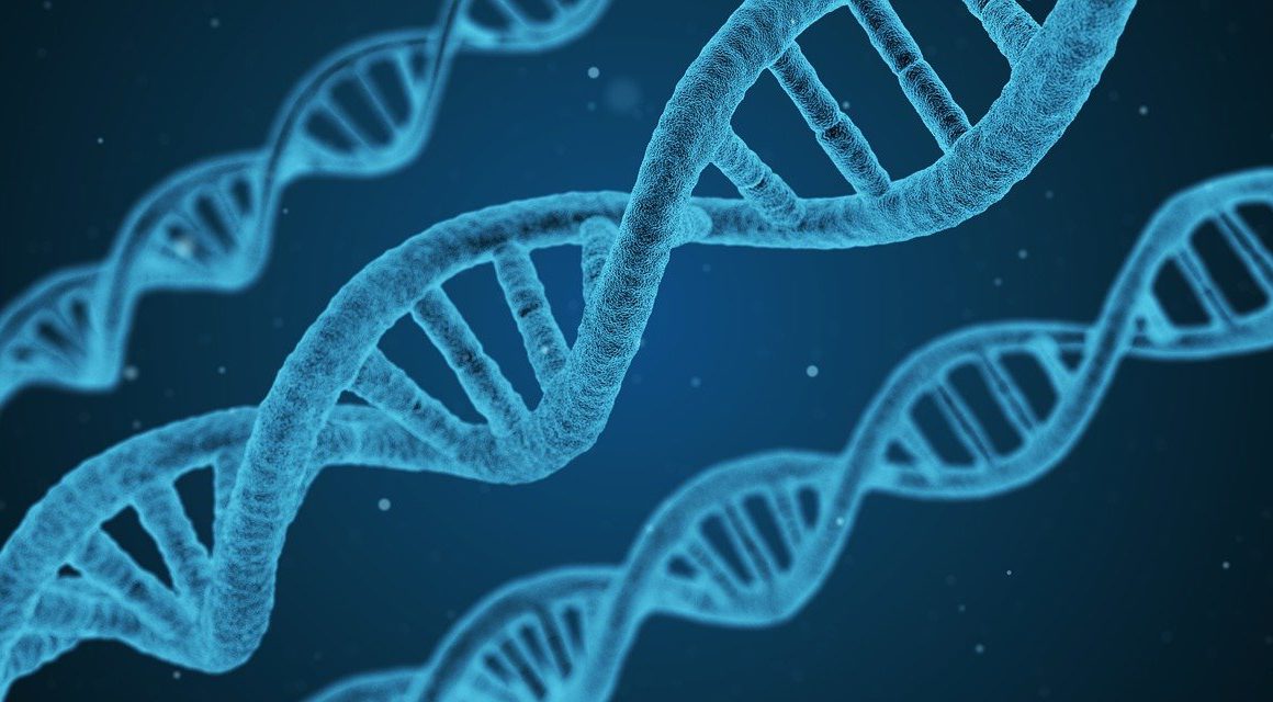Podobne czy zupełnie inne? Bioinformatyka i studia informatyczne Podobne czy zupełnie inne? Bioinformatyka i studia informatyczne