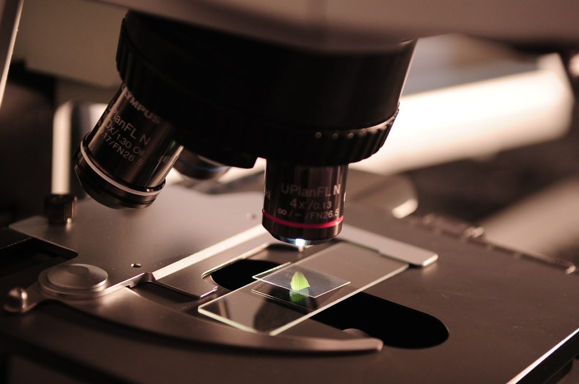 Bioinformatyka jako wsparcie w realizacji celów zrównoważonego rozwoju Bioinformatyka jako wsparcie w realizacji celów zrównoważonego rozwoju